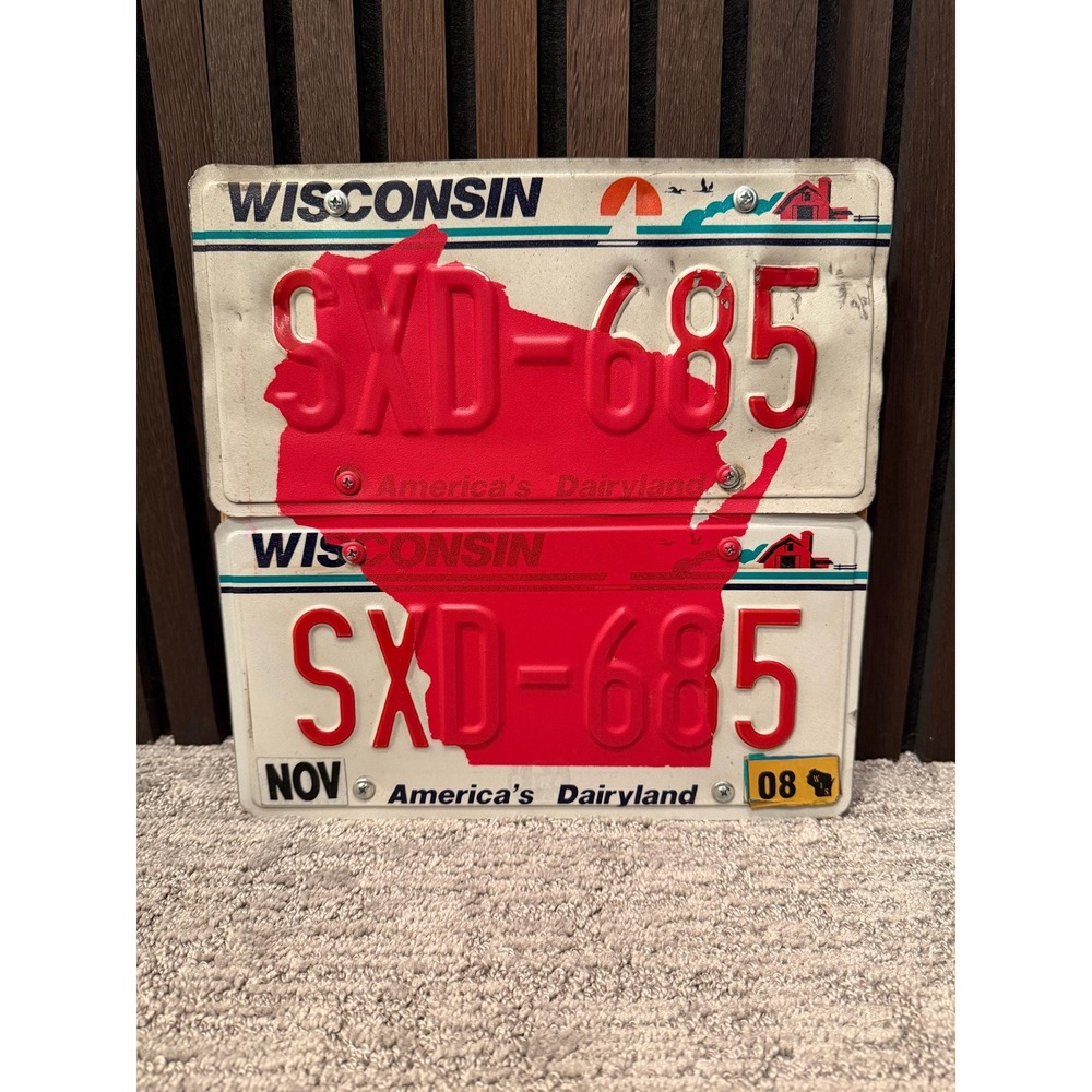 License Plate WI Wall Art - Upcycled Repurposed - 12" x 12"